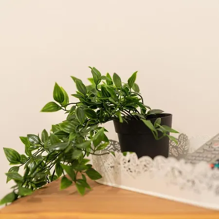 Vendégház The White House *