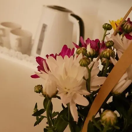 The White House Vendégház *