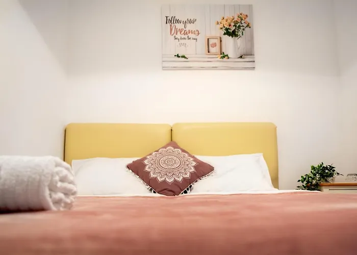 The White House 索菲亞