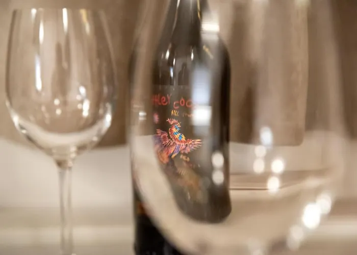 招待所 The White House 索菲亞