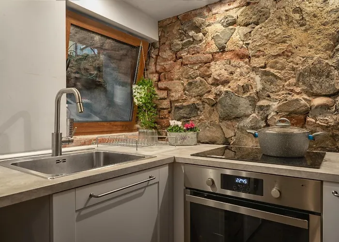 招待所 The White House 索菲亞