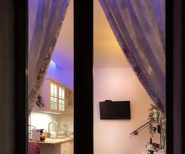 招待所 The White House *