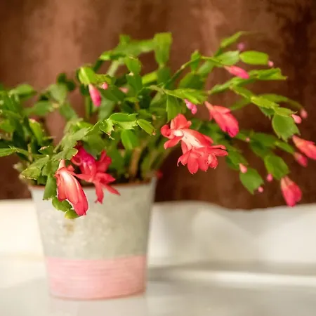 Gasthof The White House