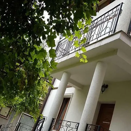 The White House * Sofia