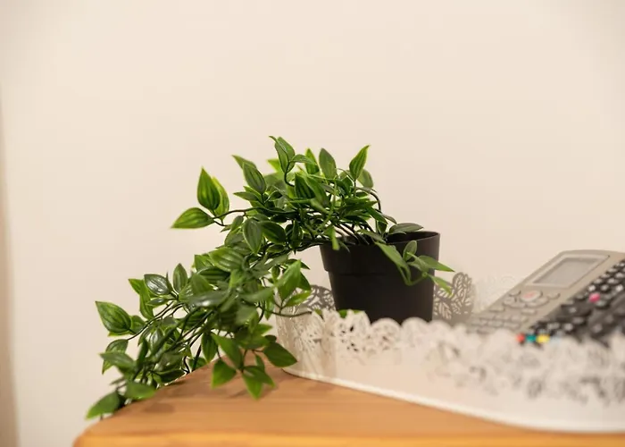 Pensión The White House *