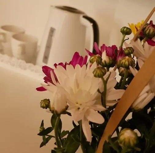 The White House Pensión *